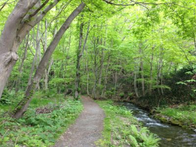 北海道・洞爺湖周辺のぶらり散策スポット【壮瞥滝】へ行ってみた