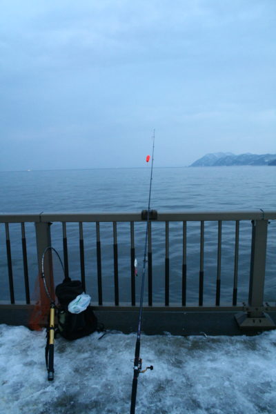 豊浦フィッシャリーナ　鮭釣り　アキアジ釣り