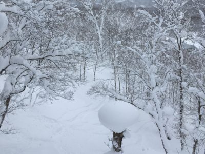 北海道・雪国の暮らし　除雪のこと