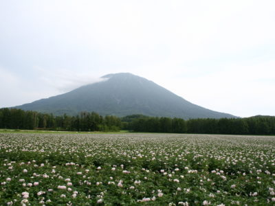 北海道・洞爺湖 チャシバクINNから北方面へ 車で1時間圏内のおすすめスポット【留寿都村・真狩村・喜茂別町・京極町・ニセコ町・倶知安町・蘭越町】